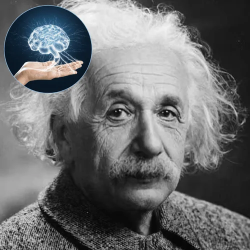 Einstein brain research
